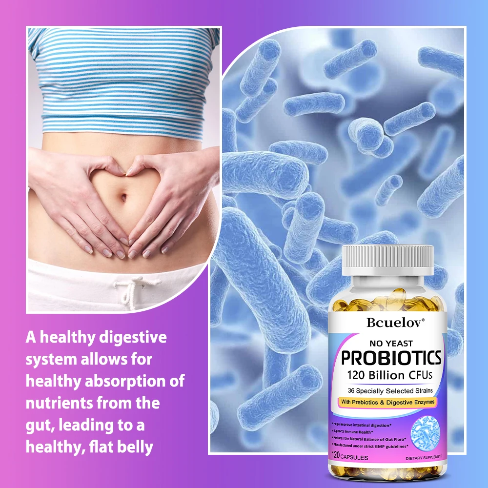 Digestive Enzymes+Probiotics,P - Meal Prep Co ulasan dan harga