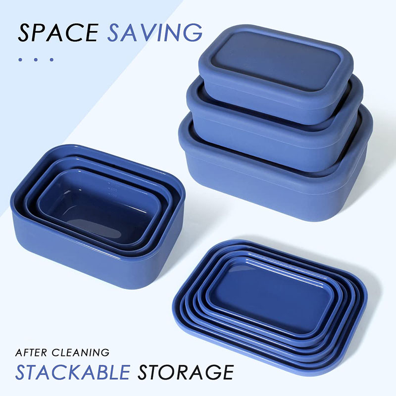 Leak-Resistant Bento Lunch Box - Meal Prep Meal Ideas ulasan dan harga